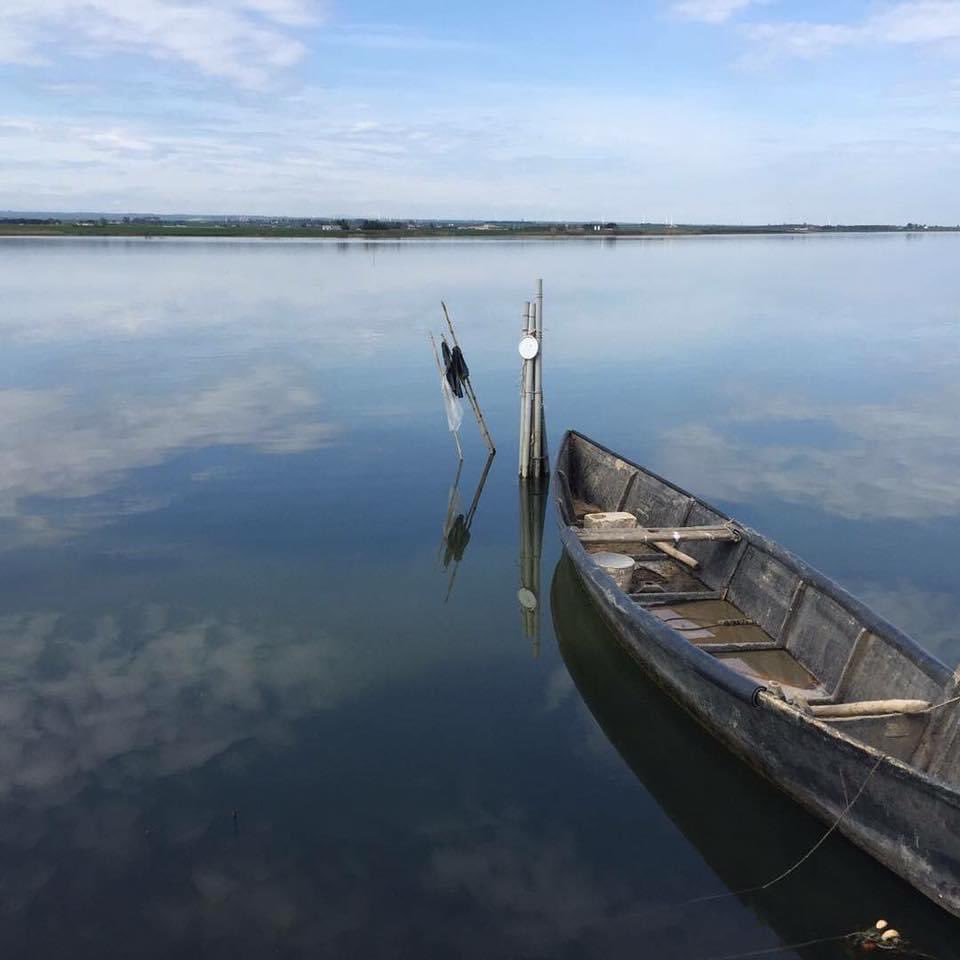 garganolab2_0's tweet photo. Buona domenica delle palme 🕊 È Primavera, e sul #Gargano la chiamano "bassa stagione".  Sarà bassa, ma forse non vi hanno detto quant'è bella... #palme #buonadomenica https://t.co/aVzSqao29G