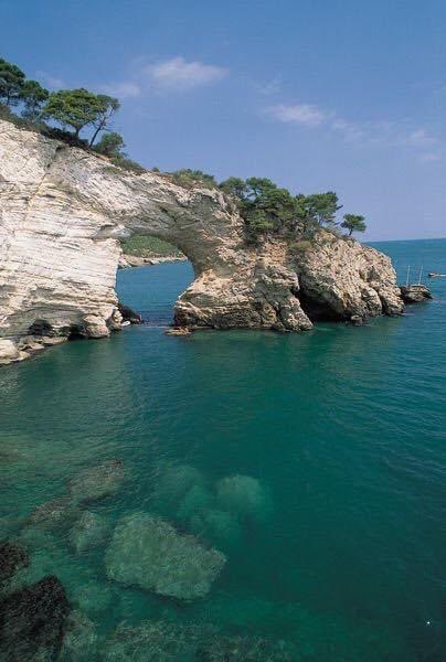 garganolab2_0's tweet photo. Buona domenica delle palme 🕊 È Primavera, e sul #Gargano la chiamano "bassa stagione".  Sarà bassa, ma forse non vi hanno detto quant'è bella... #palme #buonadomenica https://t.co/aVzSqao29G