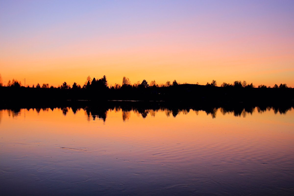 i wish i had those skill