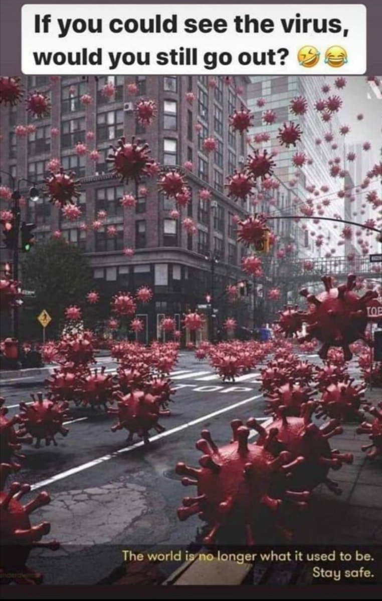 lozaslife's tweet image. 