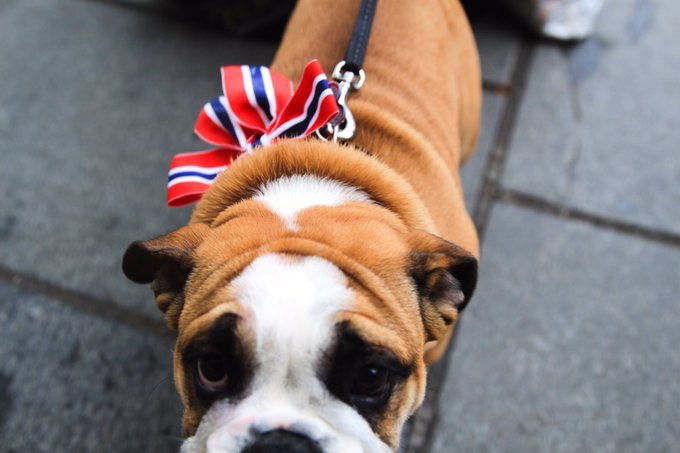 i wish i had those skill