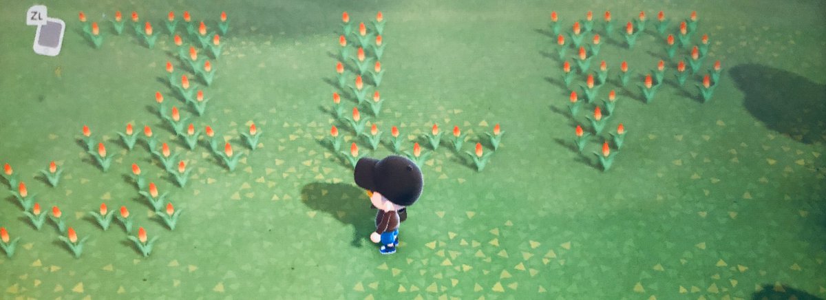 Herr_Ikithon's tweet photo. Canβt wait for these flowers to finally be in full bloom π₯°#ImHopeless https://t.co/CoUgMF8d7o