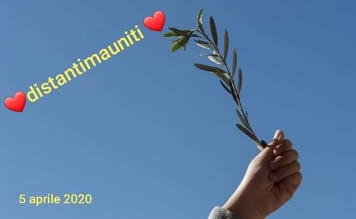 Carmela (@carmelabuono9) on Twitter photo 