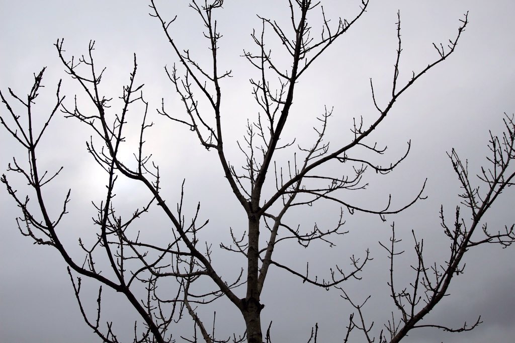 i wish i had those skill