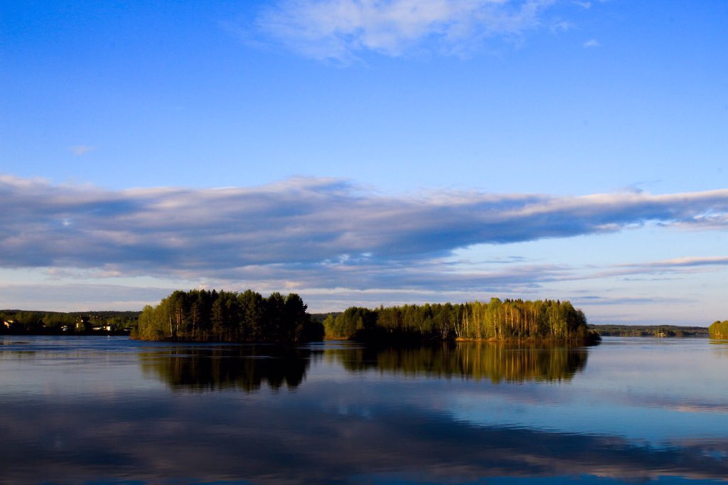 i wish i had those skill