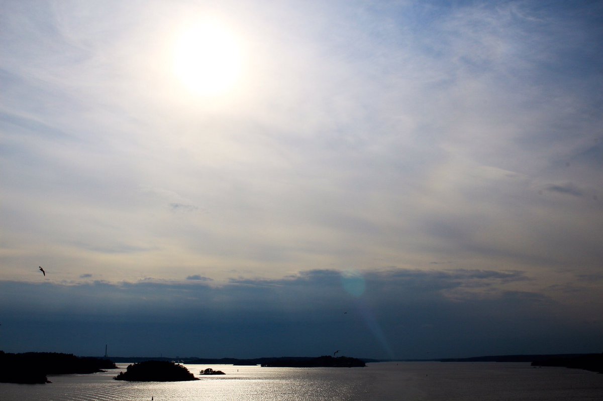 i wish i had those skill