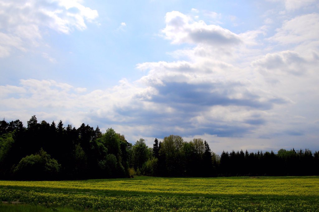 i wish i had those skill