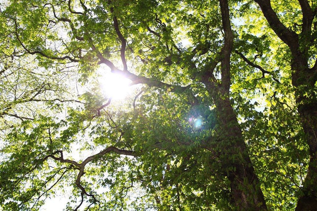 i wish i had those skill