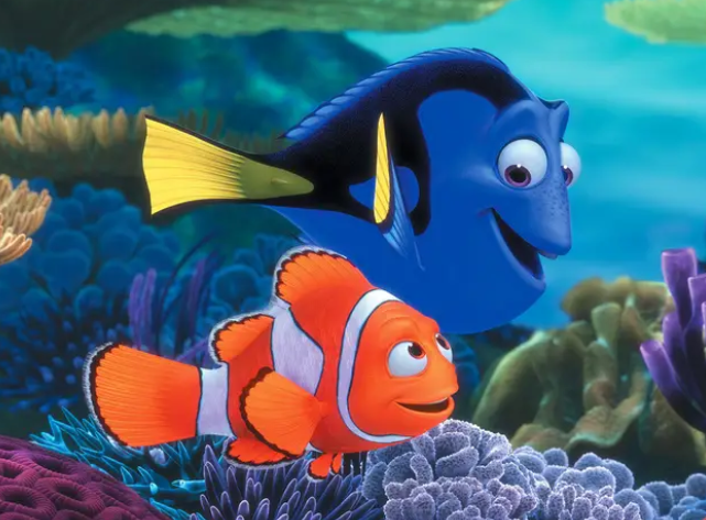 Kt__nisha294's tweet photo. 😍😍😍😍😍😍😍 #finding_dory
போடுறாங்களே vijay tv ல 💃🏻💃🏻💃🏻💃🏻 நான் படம் முடிஞ்சா தான் வருவேன் டா டா 💃🏻
அவ்்்்் ஜாலி 😍😍💃🏻💃🏻 https://t.co/IOB3gB9i1n