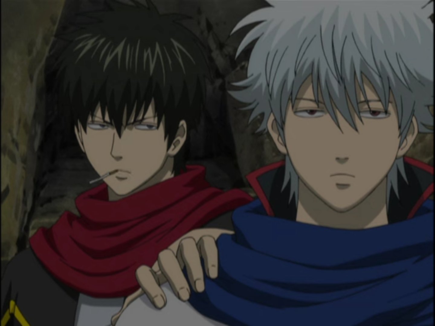 Amel on Twitter "i wonder why many fans ship gintoki x hijikata but i