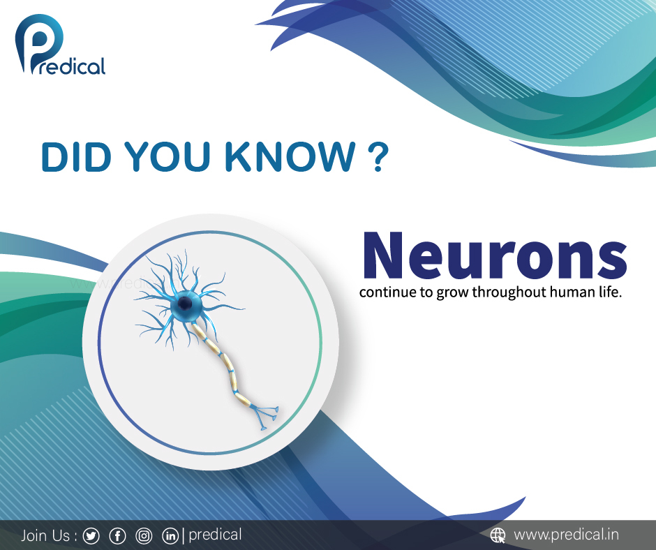 PredicalP's tweet photo. Did You Know this unique fact about human body. #sciencefact #Facts #FactsMatter #FactCheck #learning #curious #curiosity #Cbse #education #becurious #NEET #Neet2020 #Neetug #Predical #SundayThoughts #SundayMorning  
Visit: https://t.co/Cpkv6BQCFk https://t.co/2dHMdRqaDG