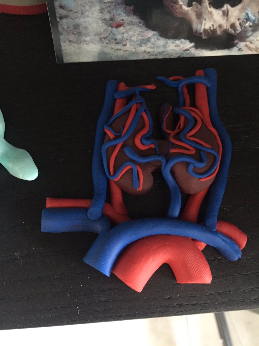 <a href="/AAPAstudents/">AAPA Students</a> #DIY #GrossAtHome <a href="/kogillil/">Kurt Gilliland, PhD</a> <a href="/anatomyfound/">Anatomy Fundamentals</a> <a href="/MortePhoto/">Lorraine Evans 💀</a> <a href="/anat_soc/">Anatomical Society</a> <a href="/colegiojalap/">Colegio Jalisciense de Anatomía Patológica</a> #anatomie