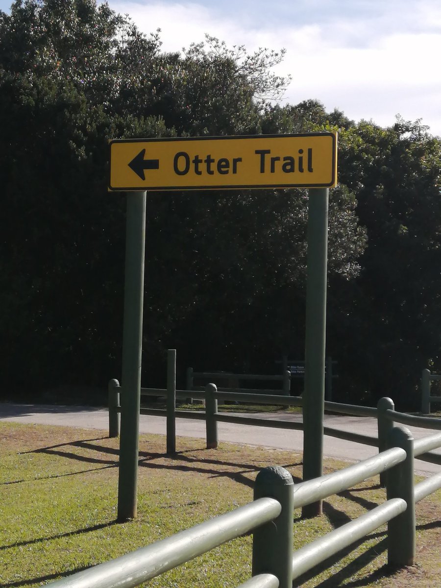 VixenAtPlay's tweet photo. When all of this is over do yourself a favour @SANParks #Ottertrail #Stormsrivier https://t.co/ZOhzIFvhOa