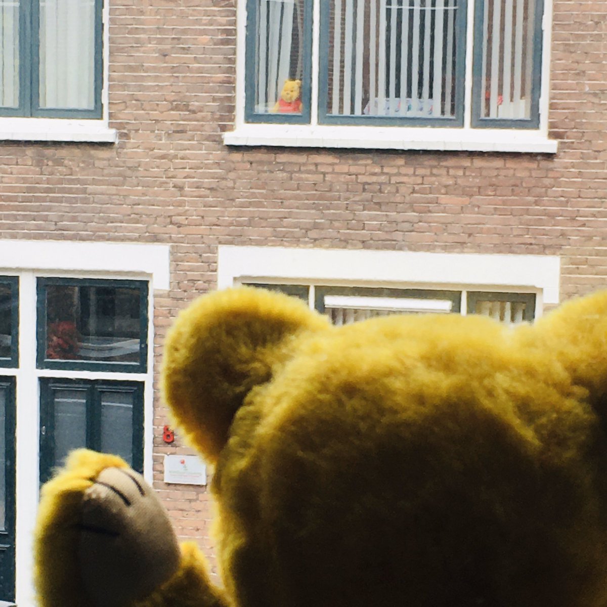 Tools voor Taal tweet media