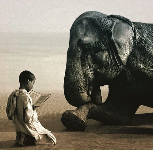 #yoga #meditacionmundial hasta el más grande, poderoso se arrodilla ante la lectura de un niño