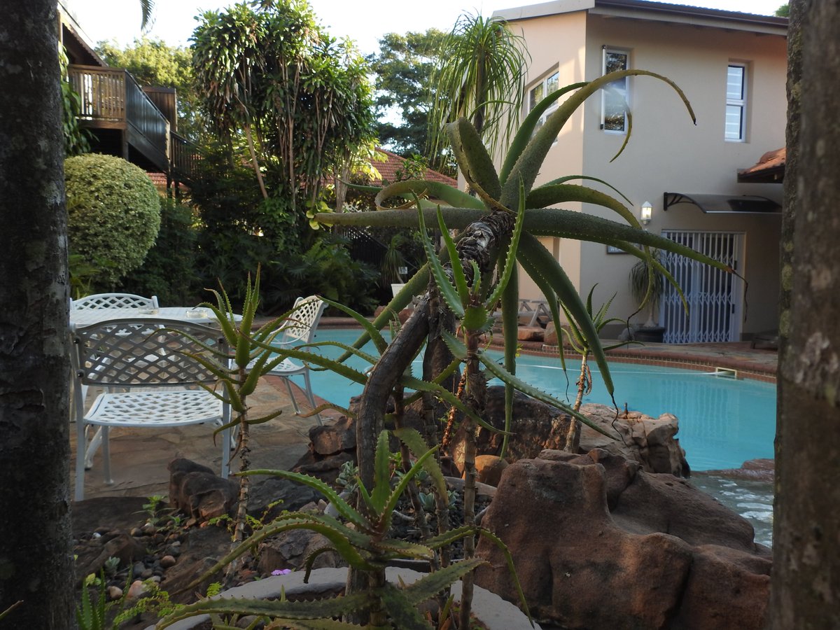 <a href="/sawx_sa_weather/">Previously SAWX</a> Good Morning peeps 
#Day10ofLockdown and its a awesome quite #Sundaymorning here in #Durban North with <a href="/ManorHouseGH/">Manor House Guesthouse</a>