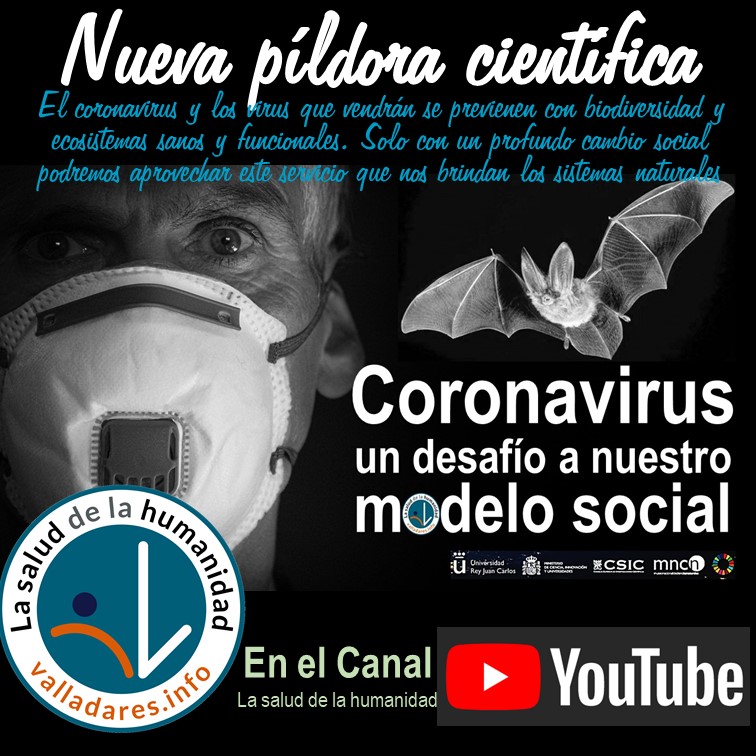 14 minutos de datos y reflexiones sobre el Coronavirus, un evento que debería suponer un punto de inflexión para la humanidad. 
youtu.be/hENe_R_Xfmw 

#coronavirus #covid19 #covid19ESP #valladaresinfo #saludhumanidad #biodiversidad #Wuhan