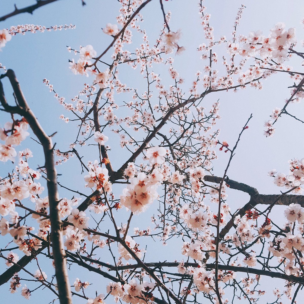 17Ocm___'s tweet photo. https://t.co/e0gazwiwmr