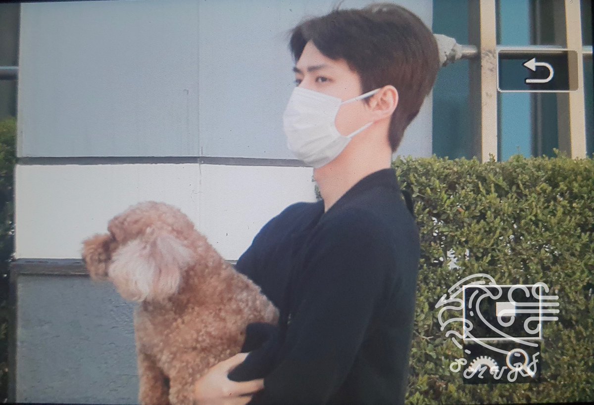 milkteus's tweet photo. DID SEHUN REALLY DYE VIVI? https://t.co/5mO4yRoepQ