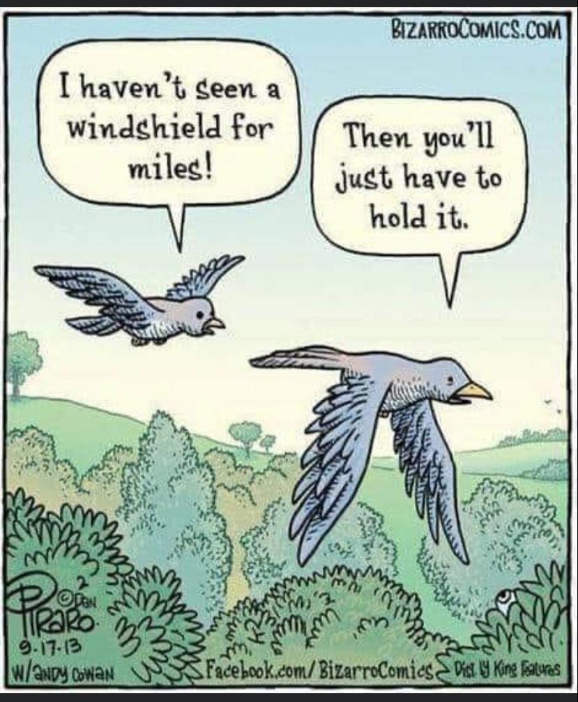 jemimamadsen's tweet image. #notraffic #lockdownhumour