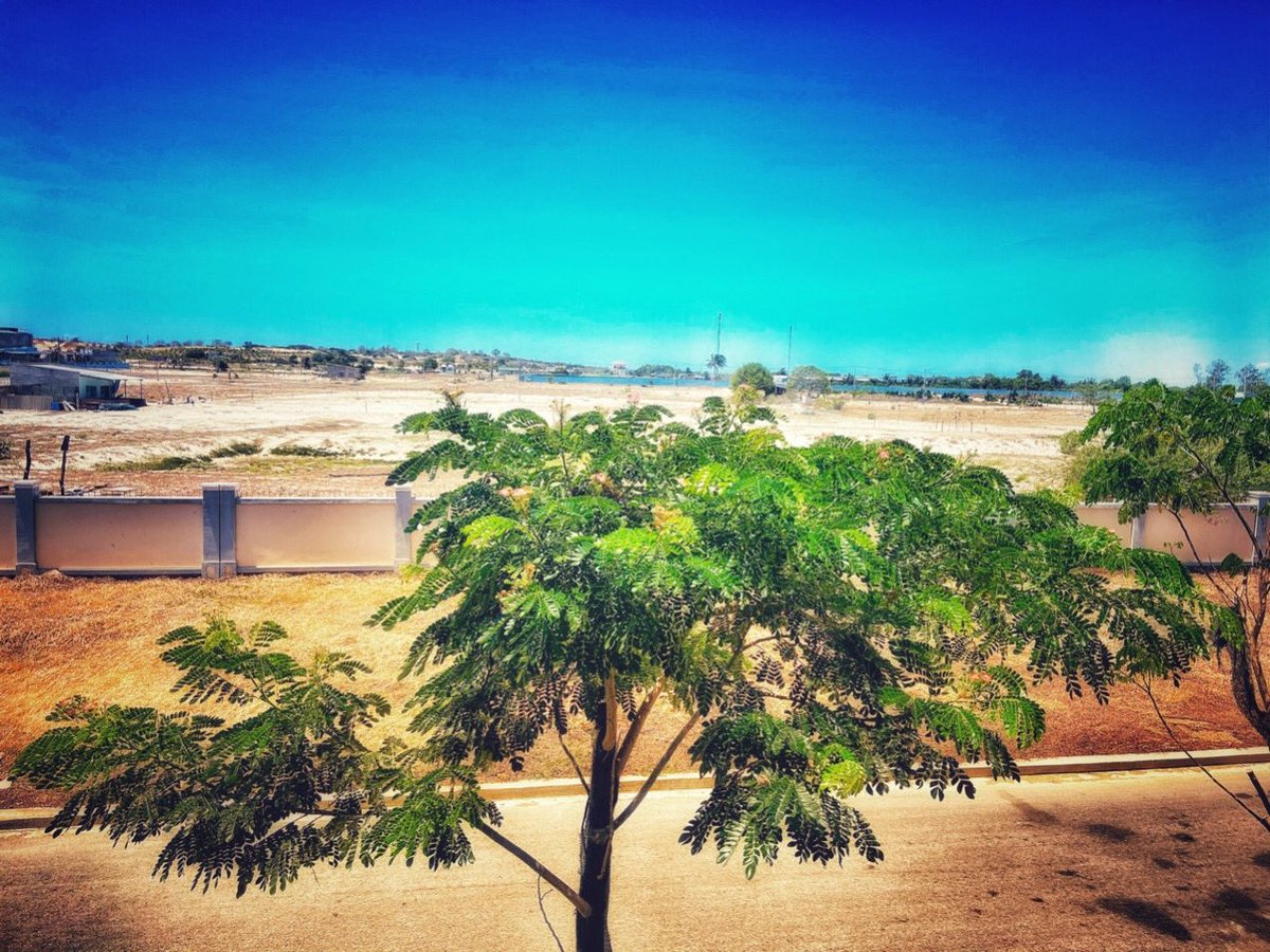 Sunshine in corona day