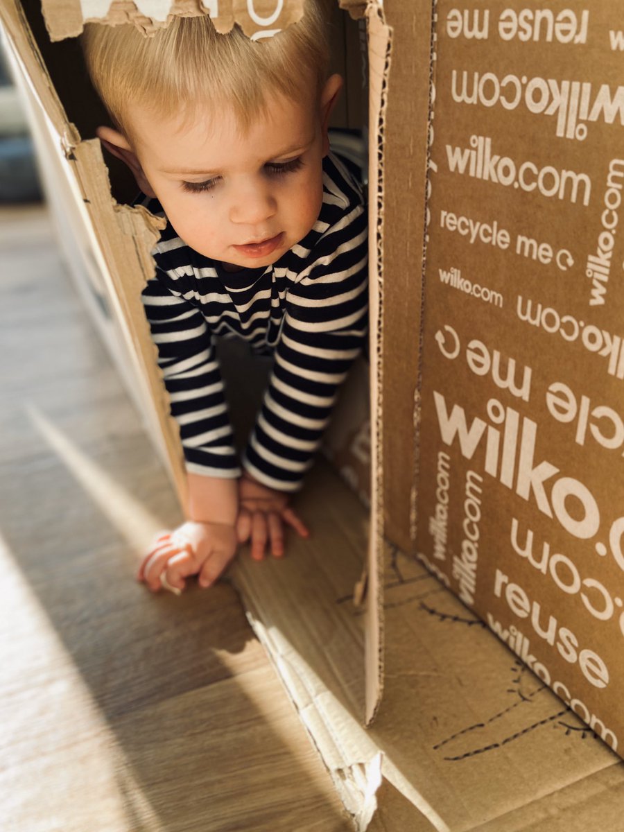 kgowd's tweet photo. @LoveWilko Tobys having great fun with the cardboard box #reuse  #lovewilko @whywait1 https://t.co/uGBEHoccEv