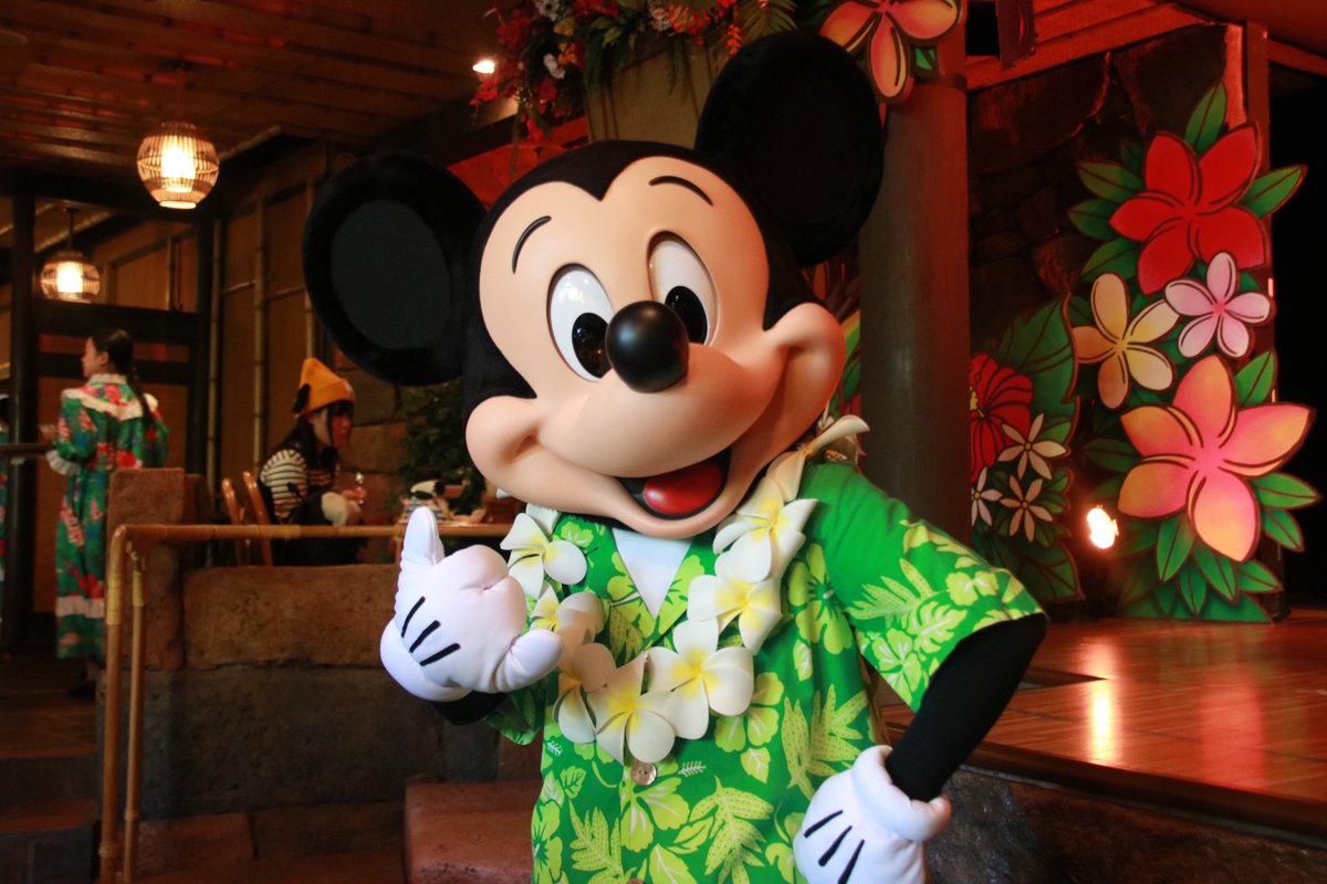 oooo0415d's tweet photo. そろそろ行きたいな…😭

久しぶりにやります！

#Twitter上にいるDヲタ全員と繋がるのが密かな夢だったりするのでとりあえずこれを見たDヲタはRTもしくはフォローしていただけると全力でフォローしに行きます 
#東京ディズニーリゾート 
#TDR https://t.co/hCB96pjbE7
