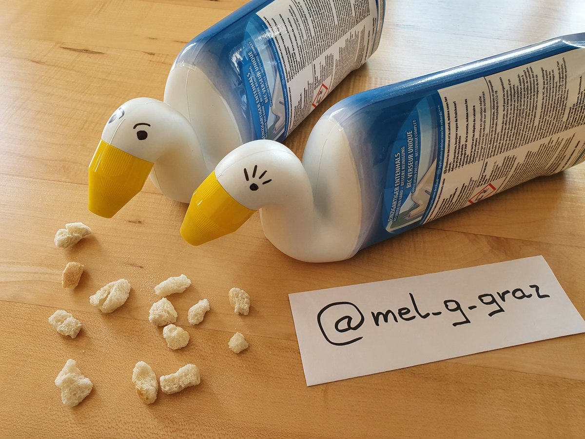 mel_g_graz's tweet photo. #Corona2020CountUpAUT #Tag21 #HomeOfficeFun https://t.co/yCAkUe2sWP