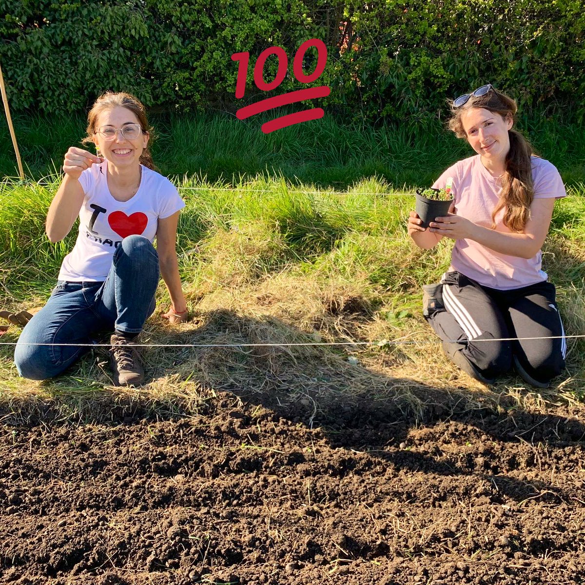 gardener_jen's tweet photo. Radishes! Making the most of this gorgeous spring day at the #allotment ☀️☀️☀️🌿#local #gardener #gardening #allotmentlife #largeplot #radish #gyo #bexley https://t.co/zDt2VWAbAi