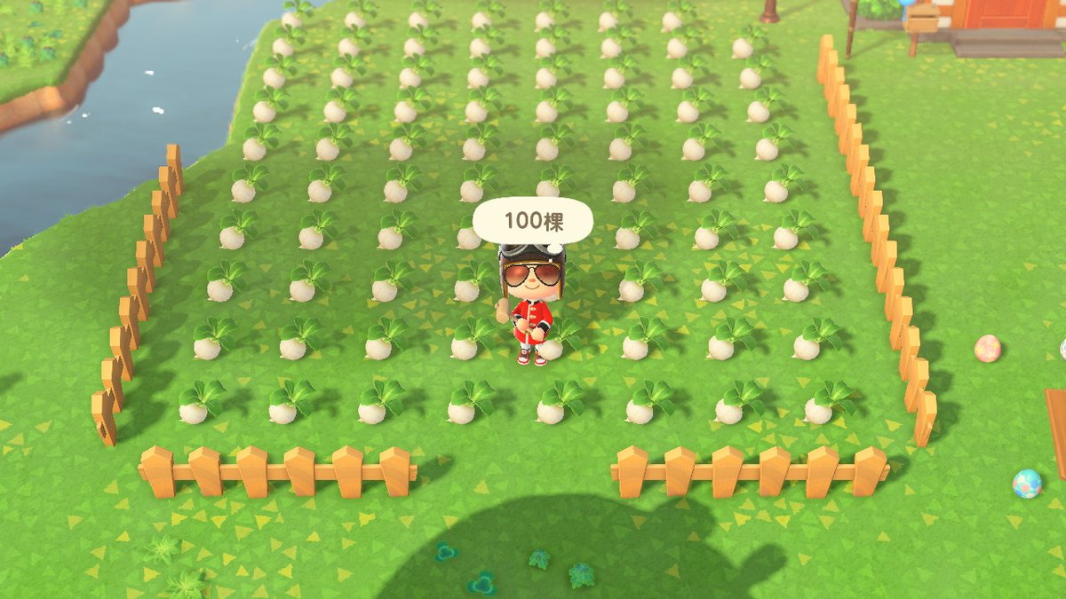 JaydenCWF's tweet photo. #動物森友會 #AnimalCrossing #ACNH #NintendoSwitch https://t.co/MwmKjVBdjK