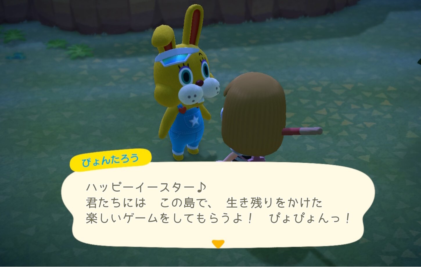 ぽみ デスゲームものの司会者にしか見えないよ うさぎ どうぶつの森 Animalcrossing Acnh Nintendoswitch