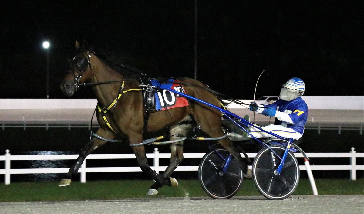 hoosiernations's tweet photo. Good Morning @Chris_wponies @JoannKi32885615 @rebelsart @jtlburn @kimberlymoier @GlenPeckinpaugh @KathleenBaitzel @elliotgordon2 @SadandSulk @dolenski_john @vnssa926 @BradA53472906 @JessicaOtten1 @JRhein98 @INStandardbred @HoP_Racing #CleverCharacter #DaleHiteman https://t.co/oppUCAp2NX