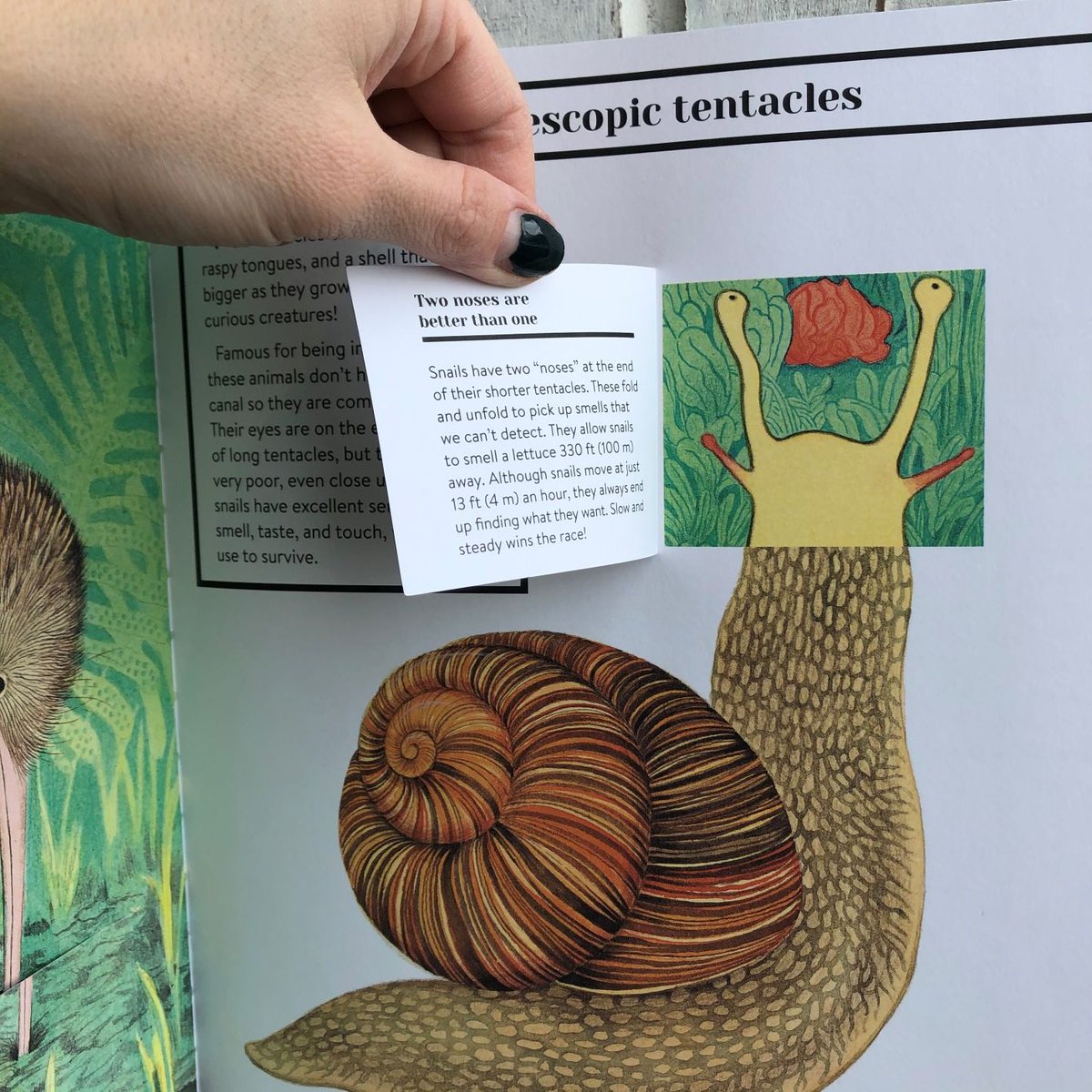 Books that Pop!  

#jonesandcompany #visitwalkerville