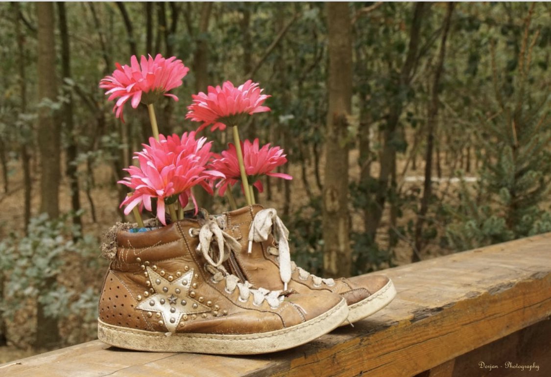 Hvbrugge tweet media