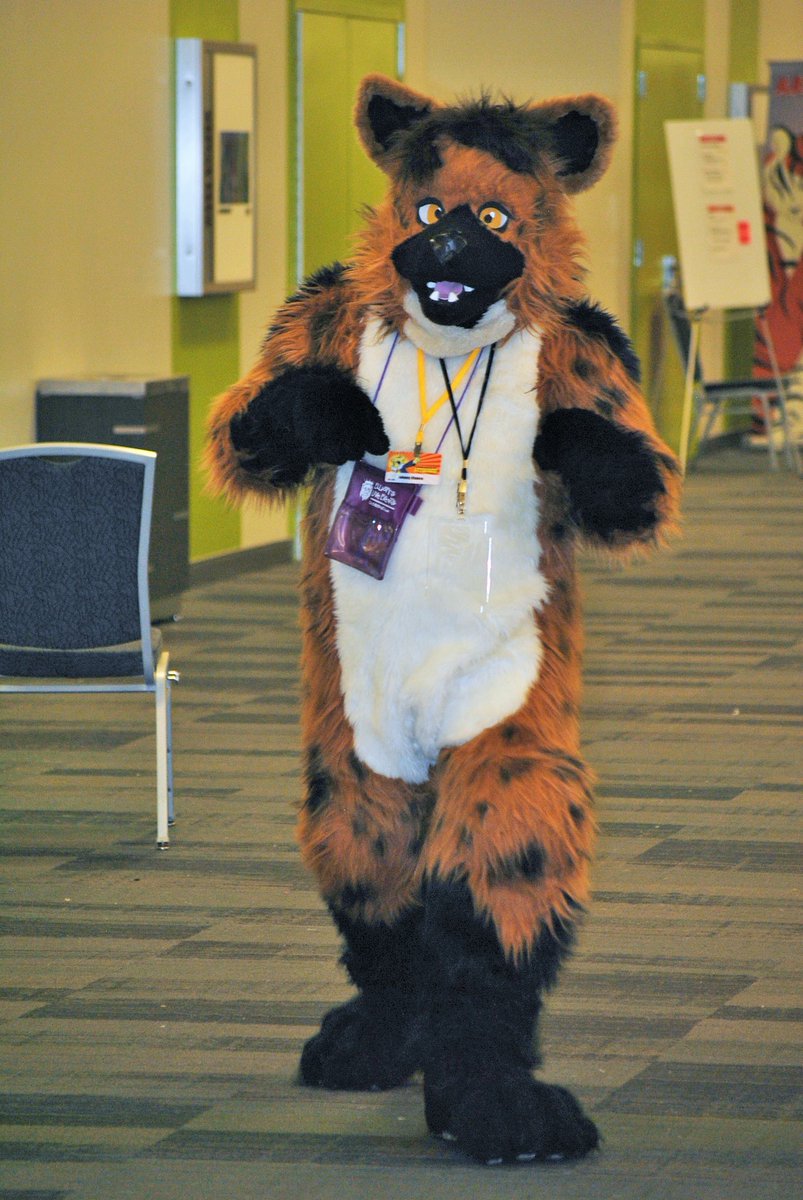 baccala30's tweet photo. From my archives at FC 2014 in San Jose, CA. #FC2014 #furry #fursuit https://t.co/2TvWBJepz8