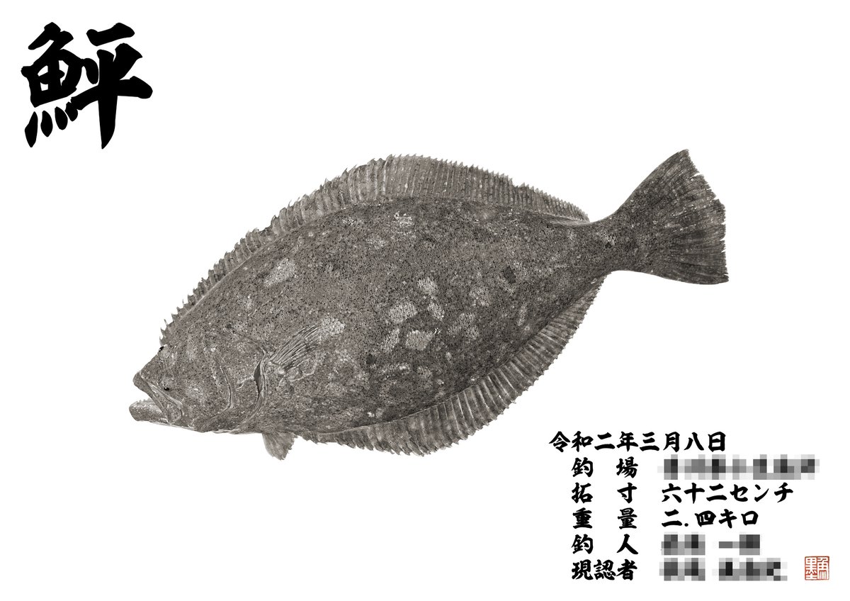 デジタル魚拓 魚墨 本日のデジタル魚拓のご紹介は 墨魚拓 ヒラメ 62 これは見事なヒラメです 墨魚拓になってさらに際立つヒラメ独特の紋様が素敵ですね 模様を眺めながら 釣行を思い出す素敵な作品になりました 魚 魚拓 釣り デジタル