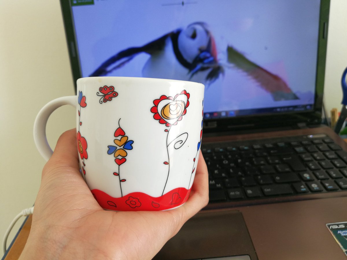 antaiachristou's tweet photo. Coffee and #puffin photos 👌
#CitizenScience #ProjectPuffinUK
@RSPBScience https://t.co/dzLEDUBFM4