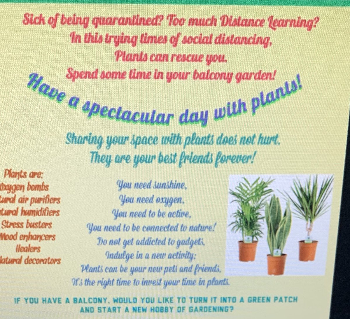 Wellbeing | Raffles World Academy tweet media