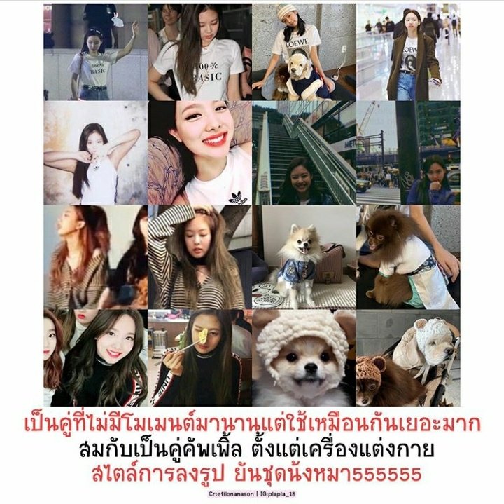 maidaibrataengo's tweet photo. ทั้งๆที่เค้าสองคนใช้ของเหมือนกัน(หรืออันเดียวกัน)ขนาดนี้ ยังไม่แฟนหรอคะ ต้องแล้วนะคะ คู่นี้น่ะค่ะ
#TWICE #BLACKPINK #najen https://t.co/OtyuFz4uM8