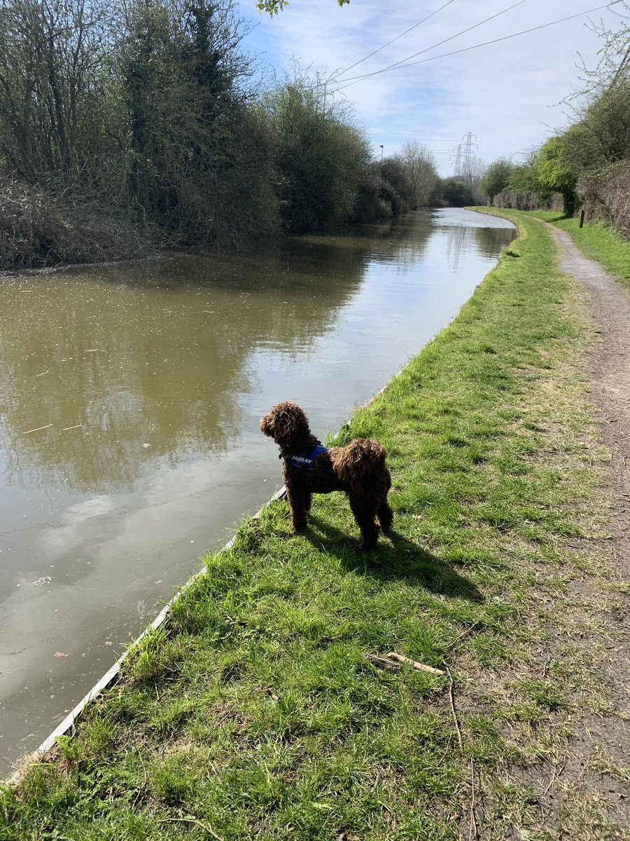 joanne_buckley7's tweet photo. Very socially distant 7 miles along the canal to Ansty and back this morning....think I’ve earnt this beverage now 🍻 #StaySafeSunday #SocialDistancing #SunnySundays #BBQandBeer #7miler #StayHealthyStayHappy 🙃🍻🥩 https://t.co/eVrlHGyQkI