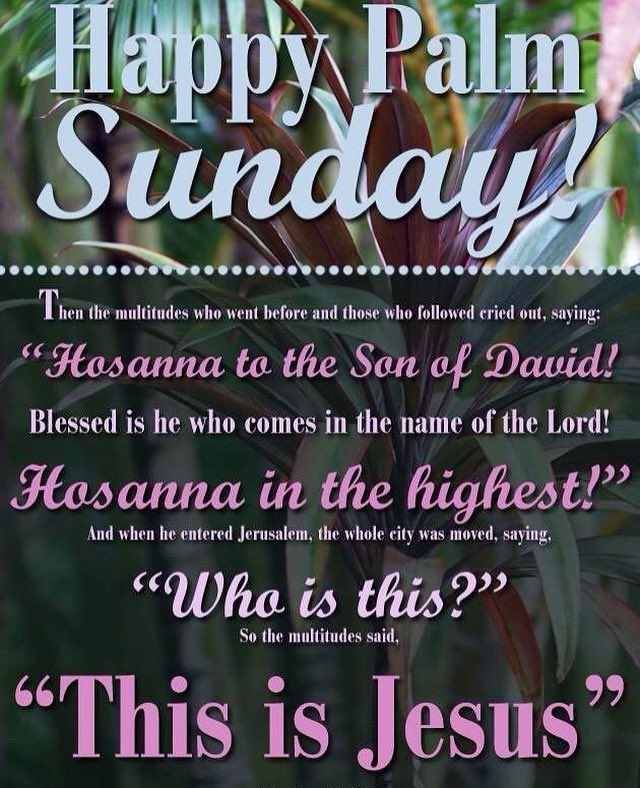 Davisonlupinski Hashtag On Twitter