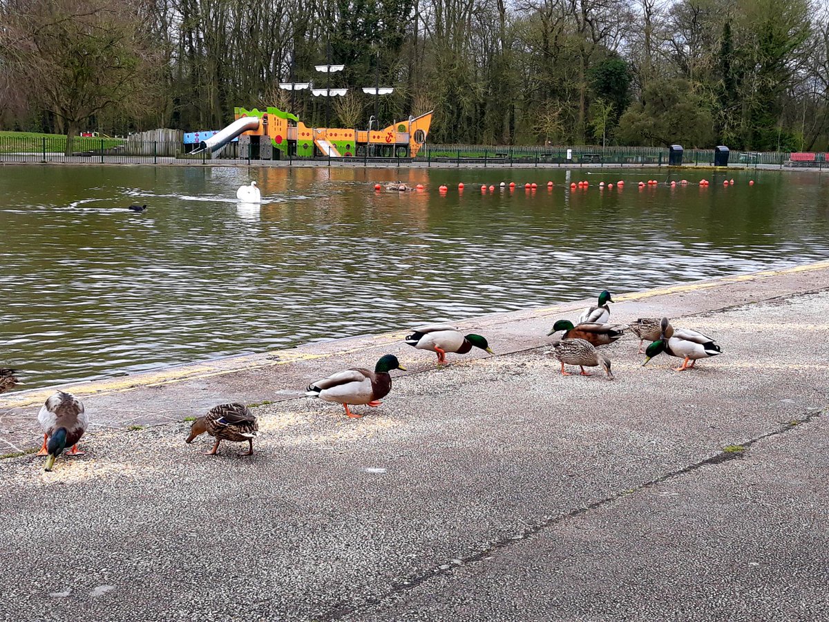 Derby Parks tweet media