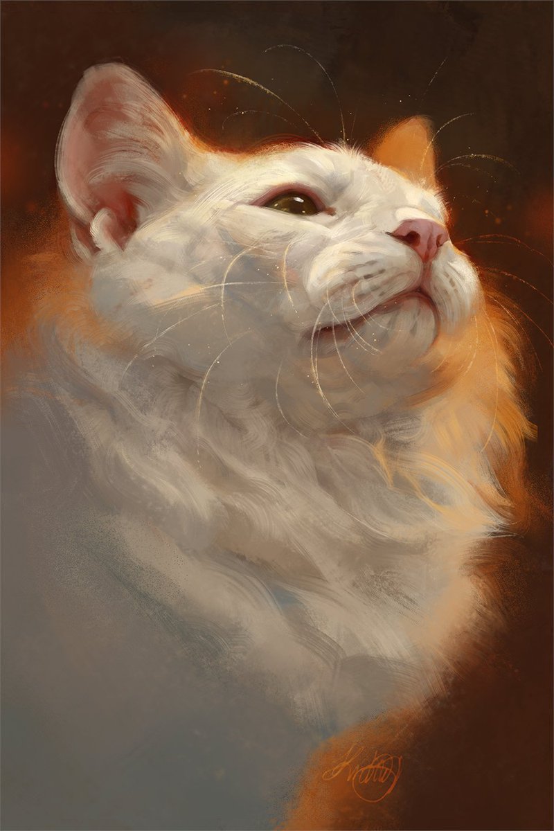 shrimpuart's tweet photo. instagram: https://t.co/XETRmv101R
tumblr: https://t.co/ue2BFjaX7G
artstation: https://t.co/PFvClE2vh4 https://t.co/8yzqx42WcE