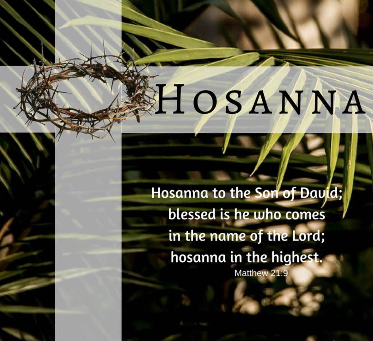 FreedomRoadBC's tweet photo. Today is #PalmSunday 🌿When Jesus rode into Jerusalem to a cheering crowd - the first step towards His crucifixion. It reminds us we have so much to be thankful for! Click the link in bio for LIVE STREAM service ☺️
 #onlinechurch #sundayservice https://t.co/dyxFr5cSNB