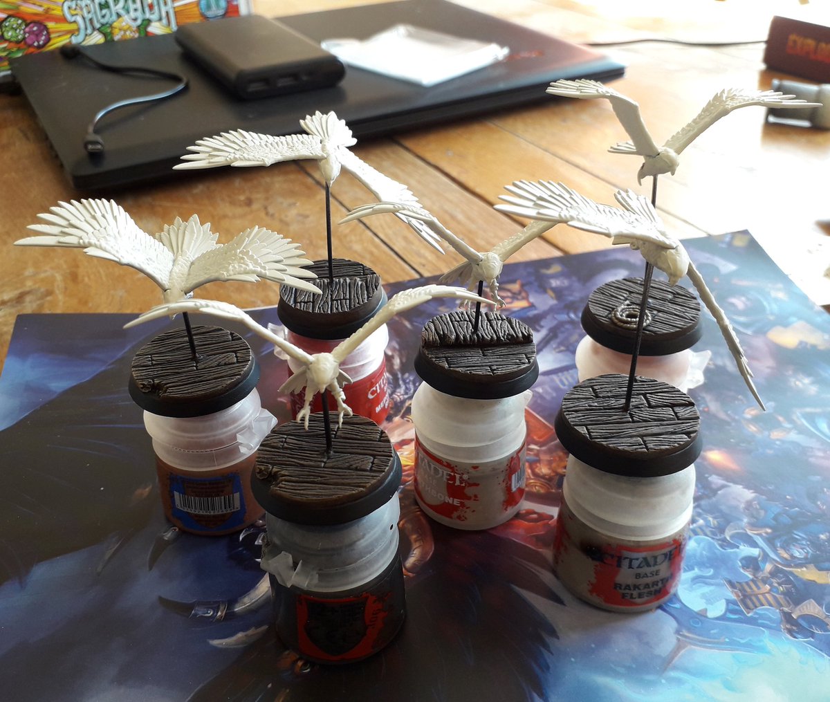 InAHidingPlace's tweet photo. Bases done! I'm planning on trying out Contrast paints for the first time on the parrots. #Warmongers #PaintingWarhammer #WePaintMinis #PaintHammer2020 #AoS #CitiesOfSigmar #Anvilguard https://t.co/wHb6RosUI4