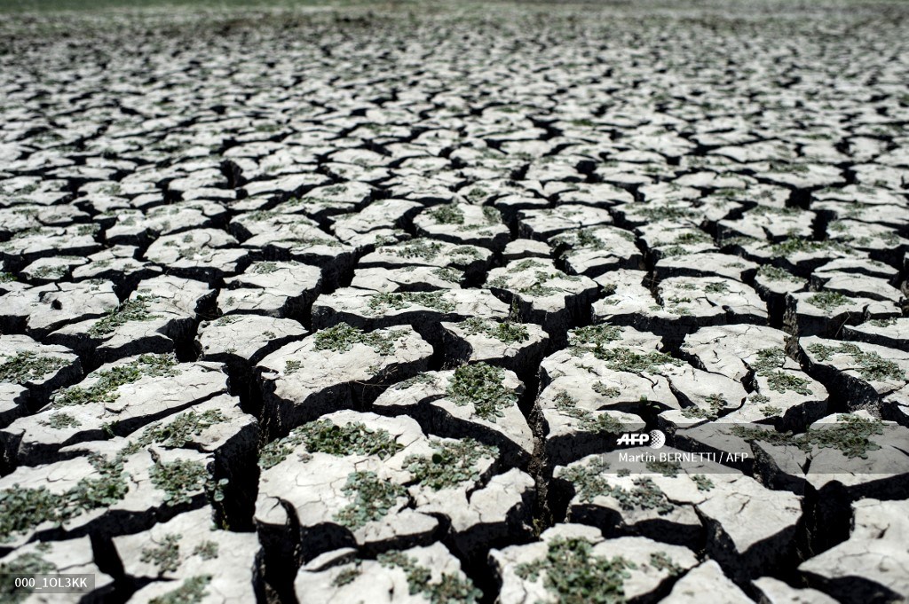 AFP Photo tweet media