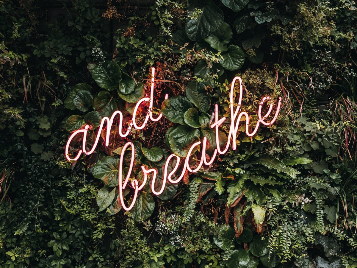 vitabiotics's tweet photo. If you’re struggling to wind down, why not try making a bit of time for #mindfulness? It can be practiced anywhere, helping you to clear your mind.

#Breathe #Mindfulness #Unwind #Relaxation https://t.co/mmTpWgY9g7