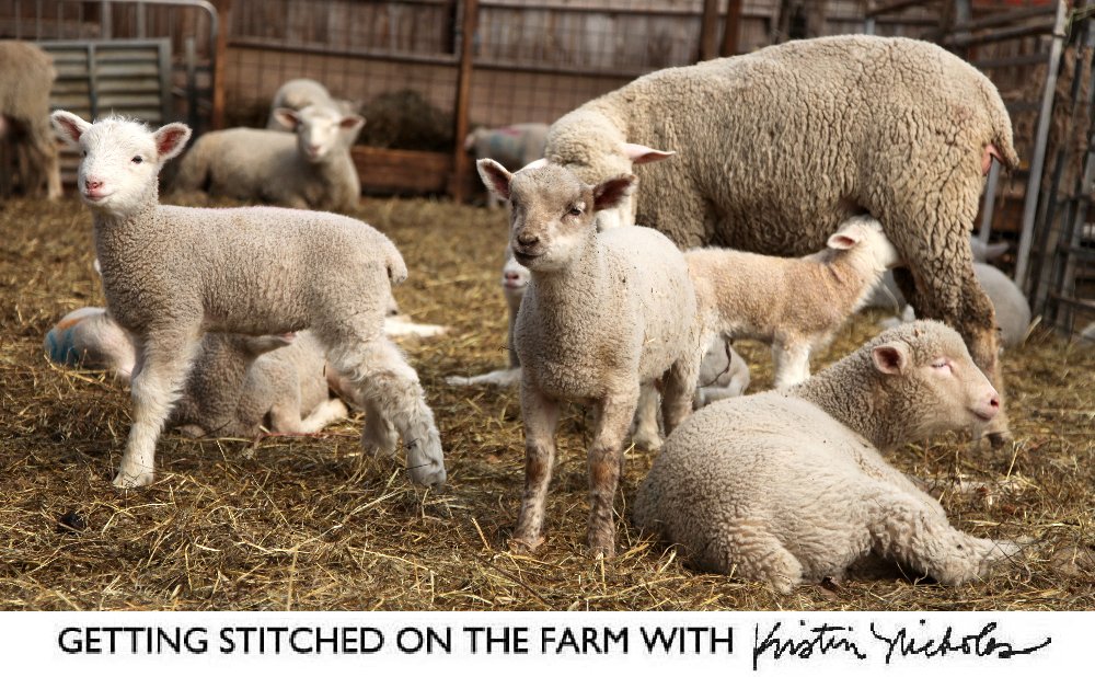 Lambs, Farm Update + Interesting Links - mailchi.mp/kristinnichola…