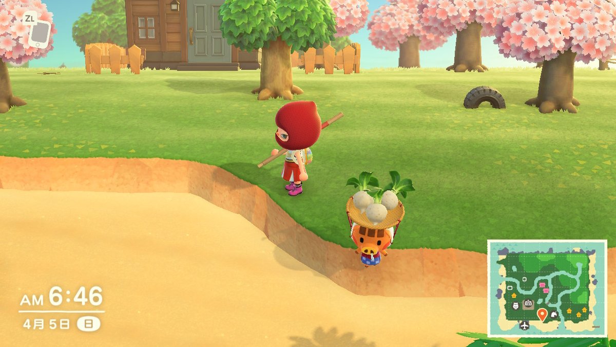Suomiya7's tweet photo. #どうぶつの森 #AnimalCrossing #ACNH #NintendoSwitch https://t.co/bjirHoFJ7i