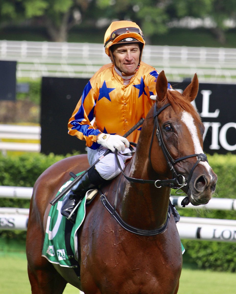 Lion_Tamer_Nz's tweet photo. Queen Elizabeth next weekend is looking like being one of the best ever.. Lots of interest for us kiwis with Te akau Shark Melody Belle and Verry Elleegant all racing each other . Opie Bosson has gone for Shark. N Rawiller on Verry Elleegant and K  McEvoy to ride Melody Belle. https://t.co/a7eGTong4u